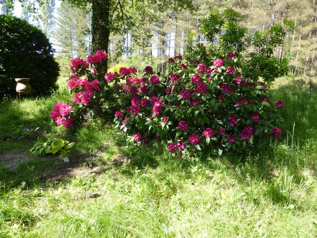 Les Fontenils Lassay-sur-Croisne Esterno foto